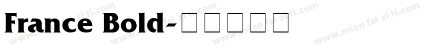 France Bold字体转换